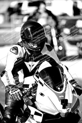 media/Mar-25-2024-Moto Forza (Mon) [[8d4319bd68]]/1-Around the Pits/